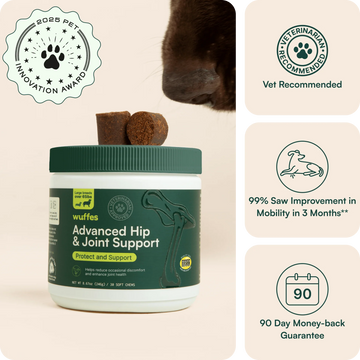 Hip & Joint Chews