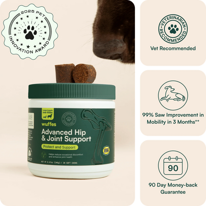 Hip & Joint Chews