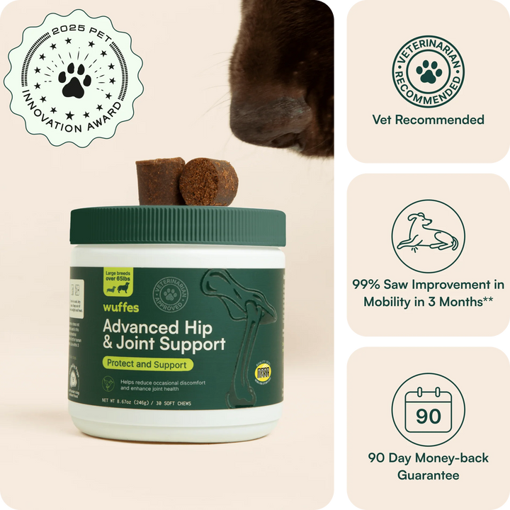Hip & Joint Chews